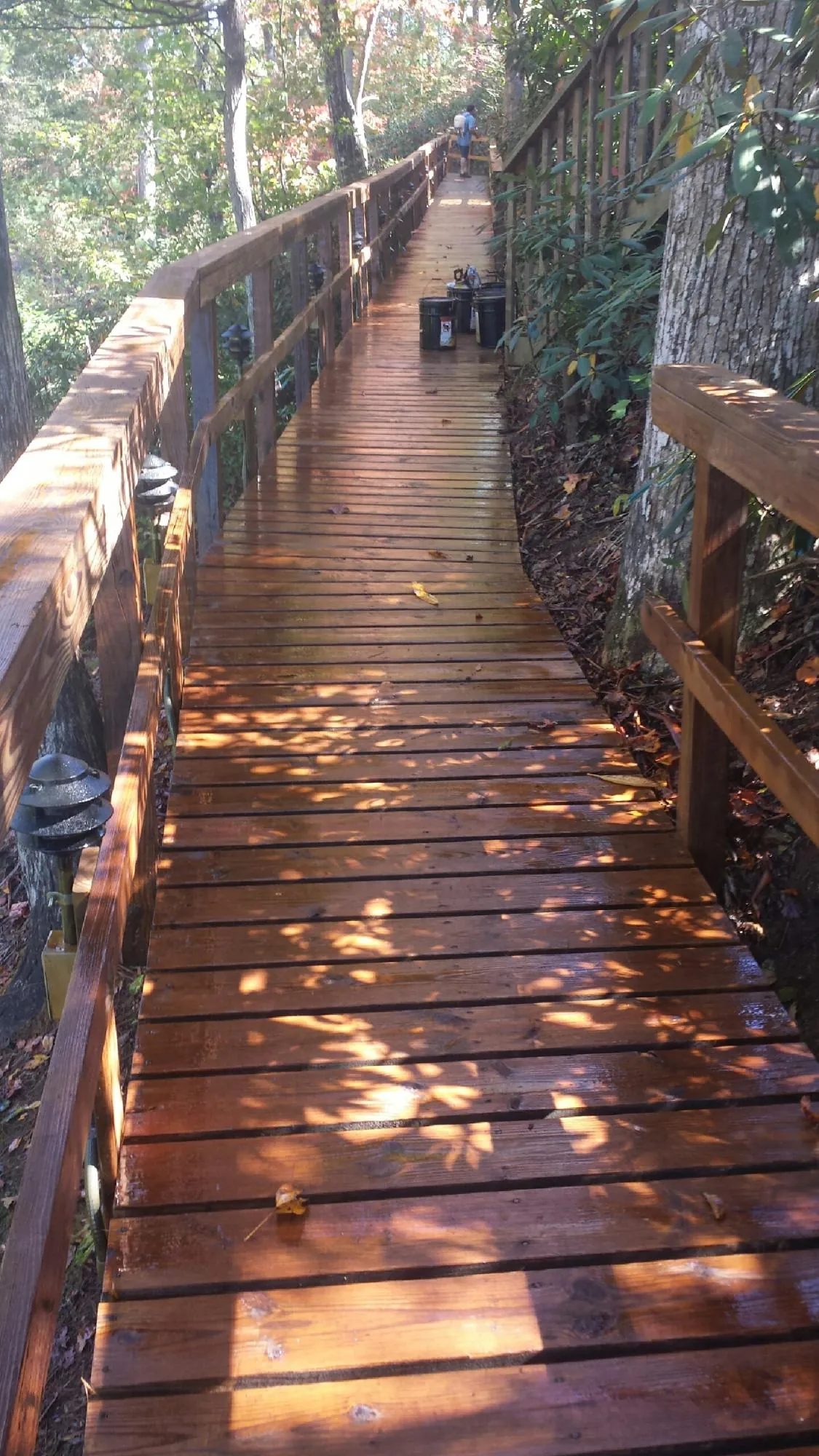 Freshly stained wood walkway winding through the woods in Congers